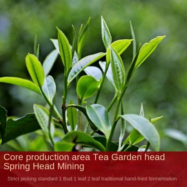 Yunnan Ancient Tree, Yunnan Black Tea, One Leaf Golden Needle Strong Aroma Big Golden Bud Black Tea - 图片 9