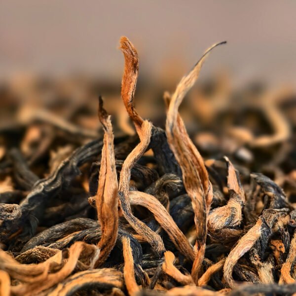 Yunnan Fengqing Dianhong, Ancient Tree Black Tea, 2025 New Tea, High end Old Tree Black Tea - 图片 11