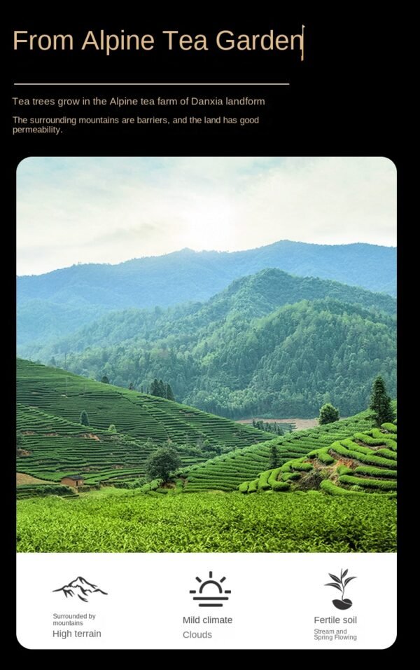 Yunnan Fengqing Dianhong, Ancient Tree Black Tea, 2025 New Tea, High end Old Tree Black Tea - 图片 8