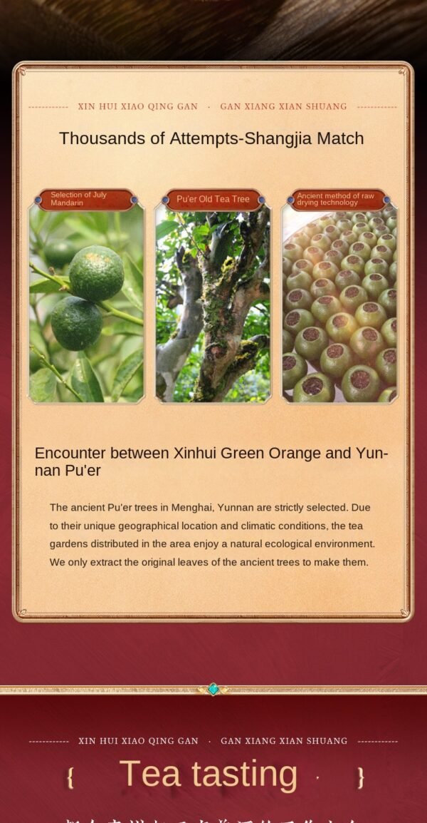 Xiao Qing Gan Pu erh tea, gift tea, gift box packaged Yunnan Pu erh tea, ripe tea, Gan Pu erh tea - 图片 13